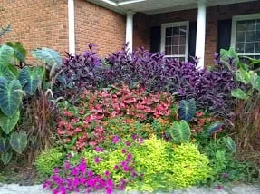 Professional landscaping services in Loganville, GA by Wallis Landscape