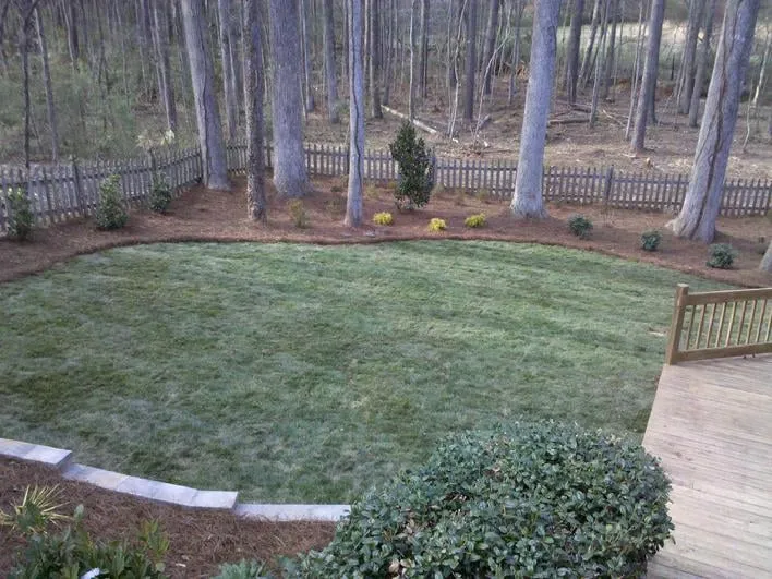 Affordable landscape installation near you across Loganville, GA - Wallis Landscape