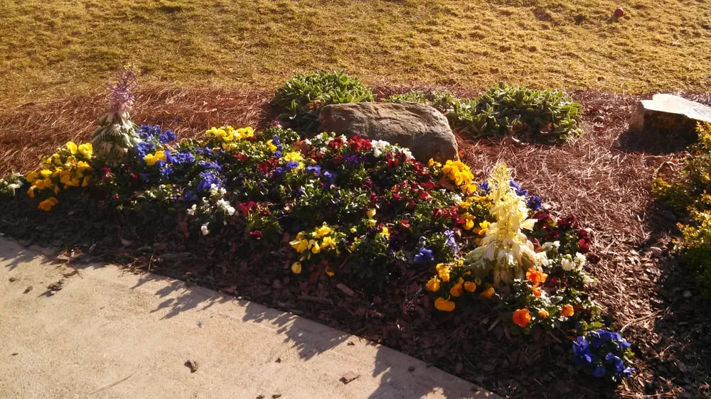 Expert landscaping services in Loganville, GA - Wallis Landscape