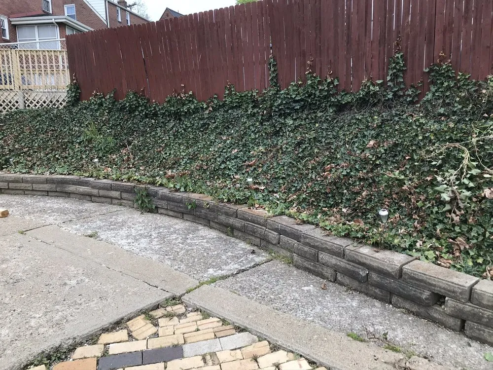 Custom yard cleanup service in McKeesport, PA by WallMans Landscaping