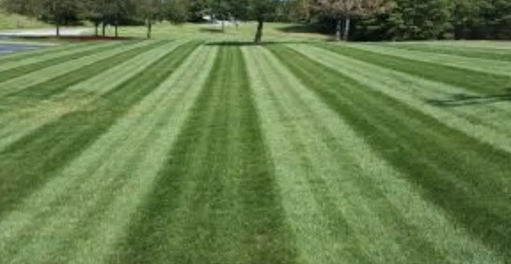 Affordable lawn mowing service for outdoor upgrades in Elkton, MD by Walls Great Scapes
