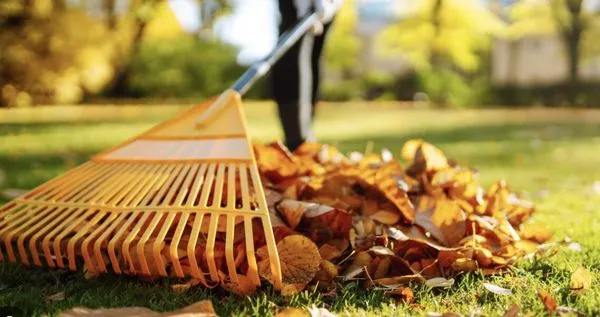 Walls Great Scapes Logo