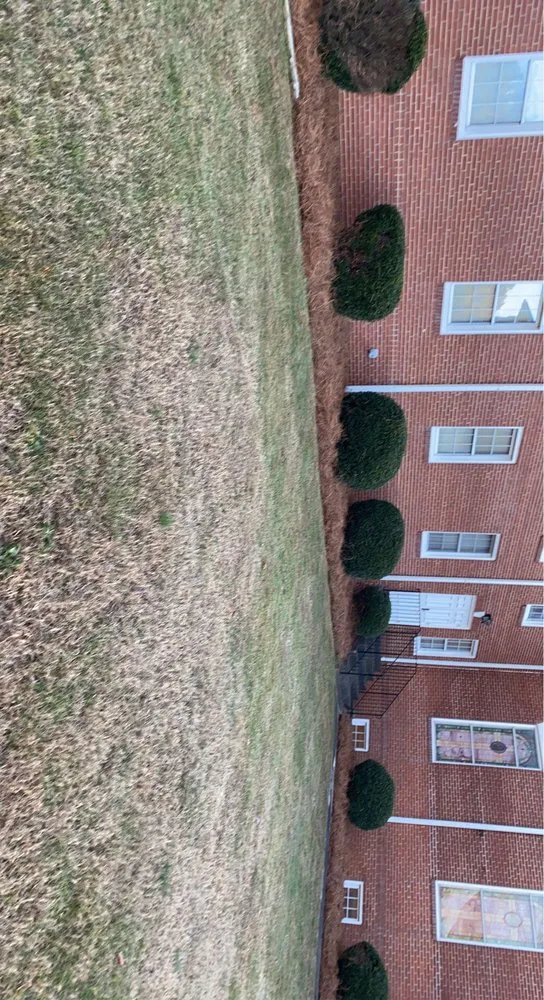 Professional lawn care service experts serving Lexington, NC - Wall's Landscaping Co