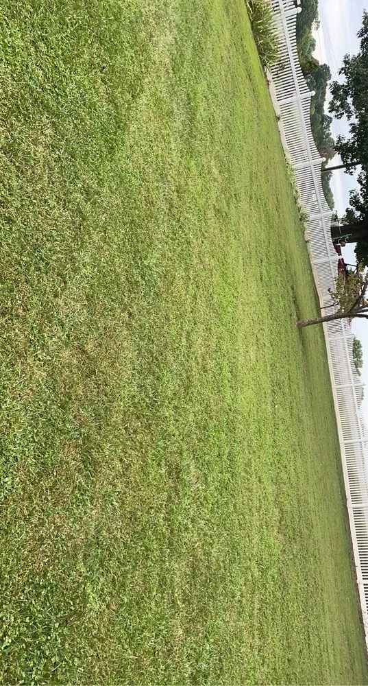 Trusted outdoor landscaping experts serving Lexington, NC - Wall's Landscaping Co