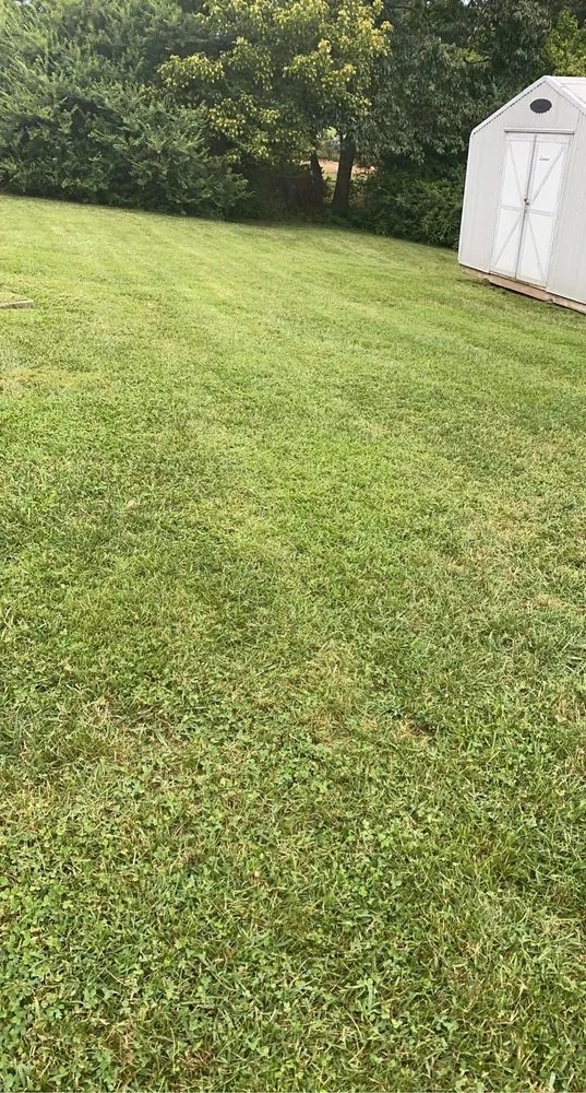 Local yard maintenance for year-round maintenance in Lexington, NC by Wall's Landscaping Co