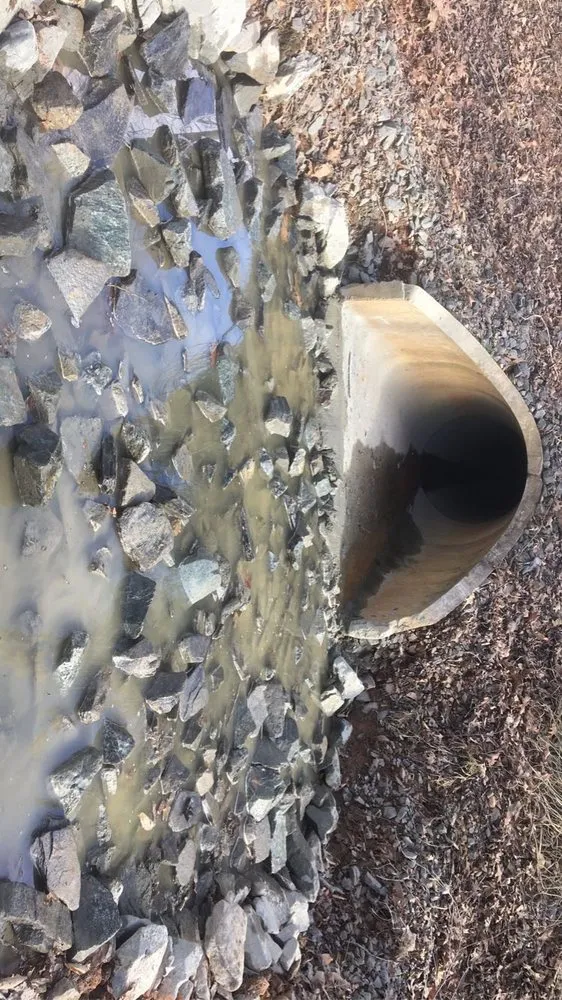 Custom landscaping services in Lexington, NC by Wall's Landscaping Co