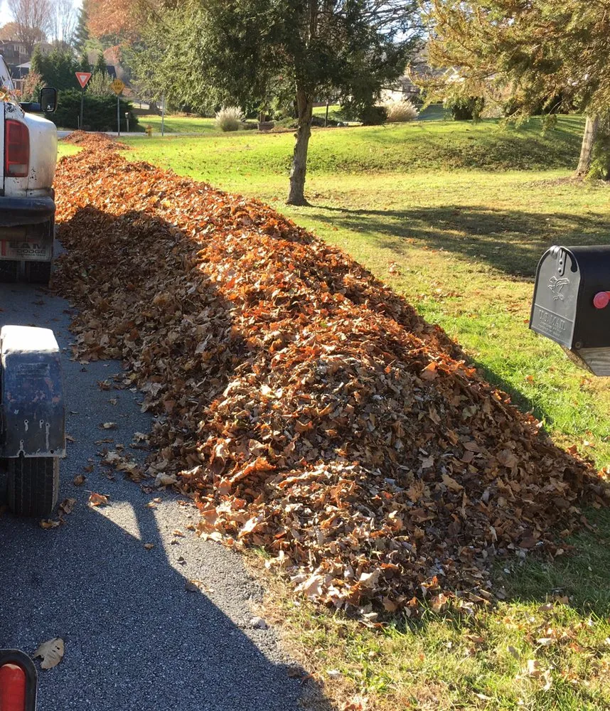 Expert landscaping services in Damascus, VA - Walls Lawn and Homecare
