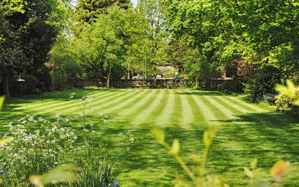 Professional lawn care service for beautiful yards across Salem, IN - Walls Lawncare Service