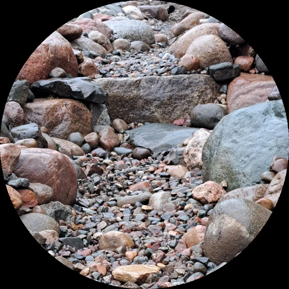 Affordable lawn care service for beautiful yards in Eau Claire, WI by WallScapes