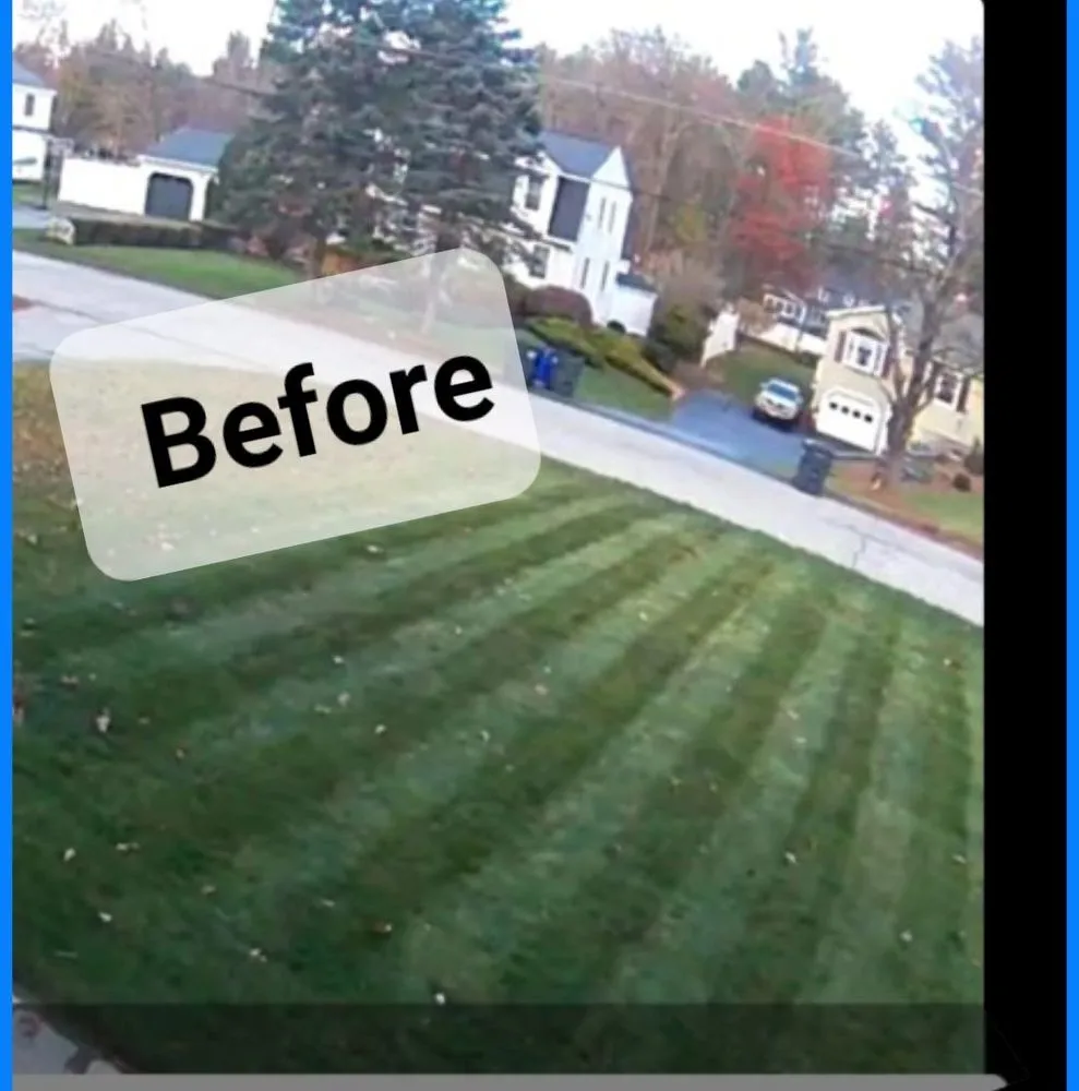 Professional garden landscaping experts serving Hudson, MA - Wally's Landscaping