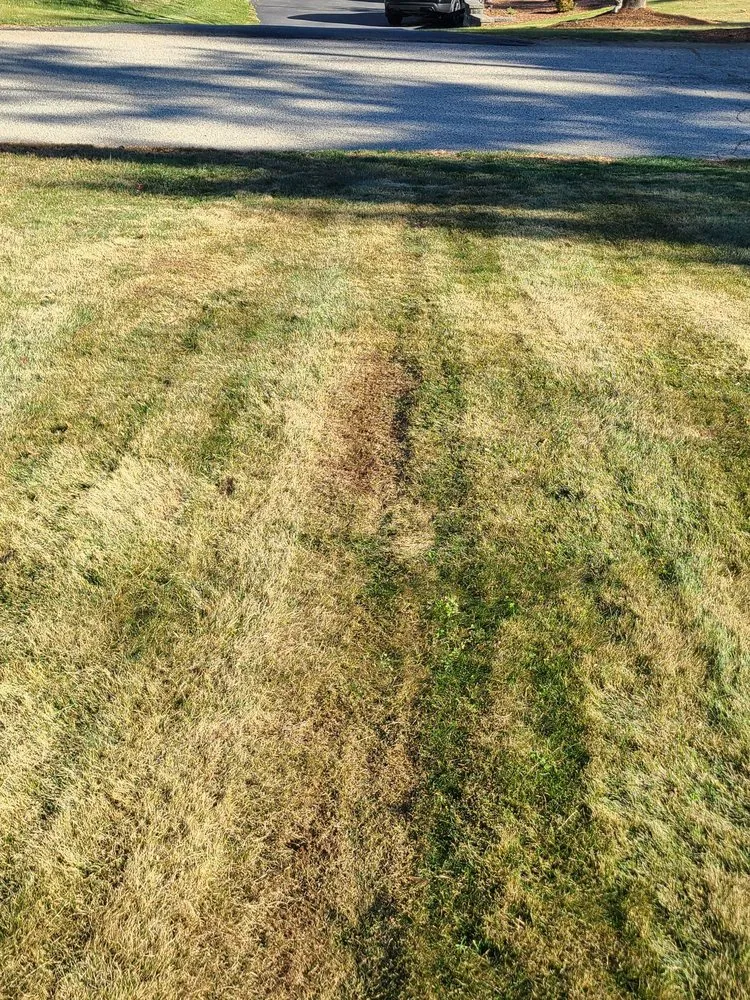 Expert garden landscaping with custom design in Hudson, MA by Wally's Landscaping