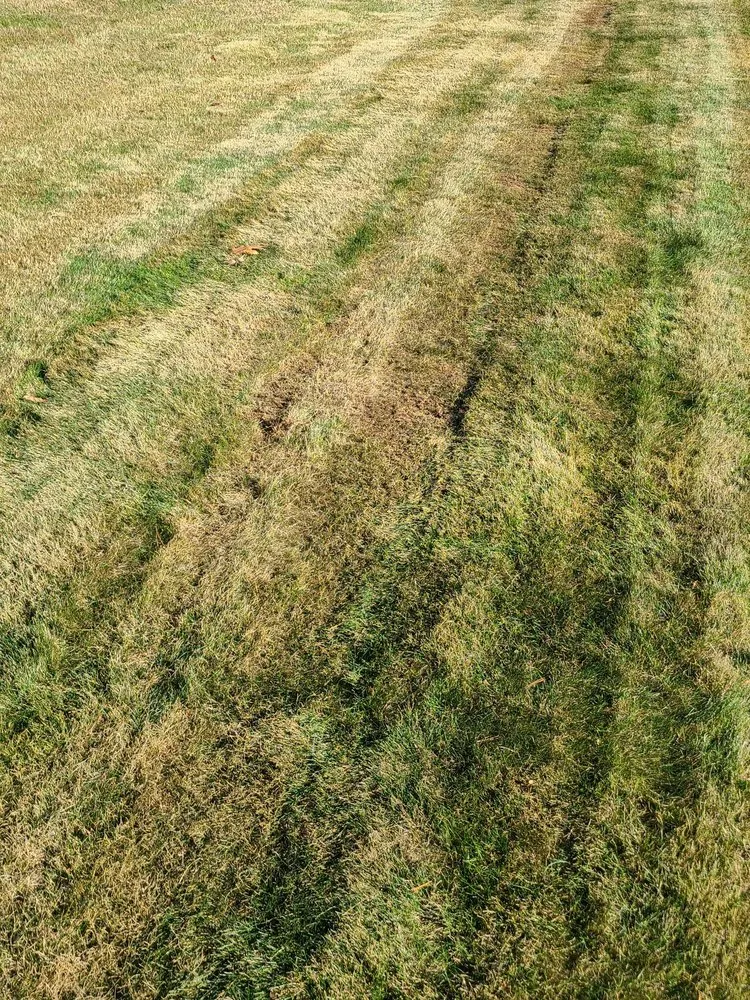 Expert residential landscaping in Hudson, MA - Wally's Landscaping