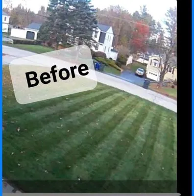 Wally's Landscaping Logo