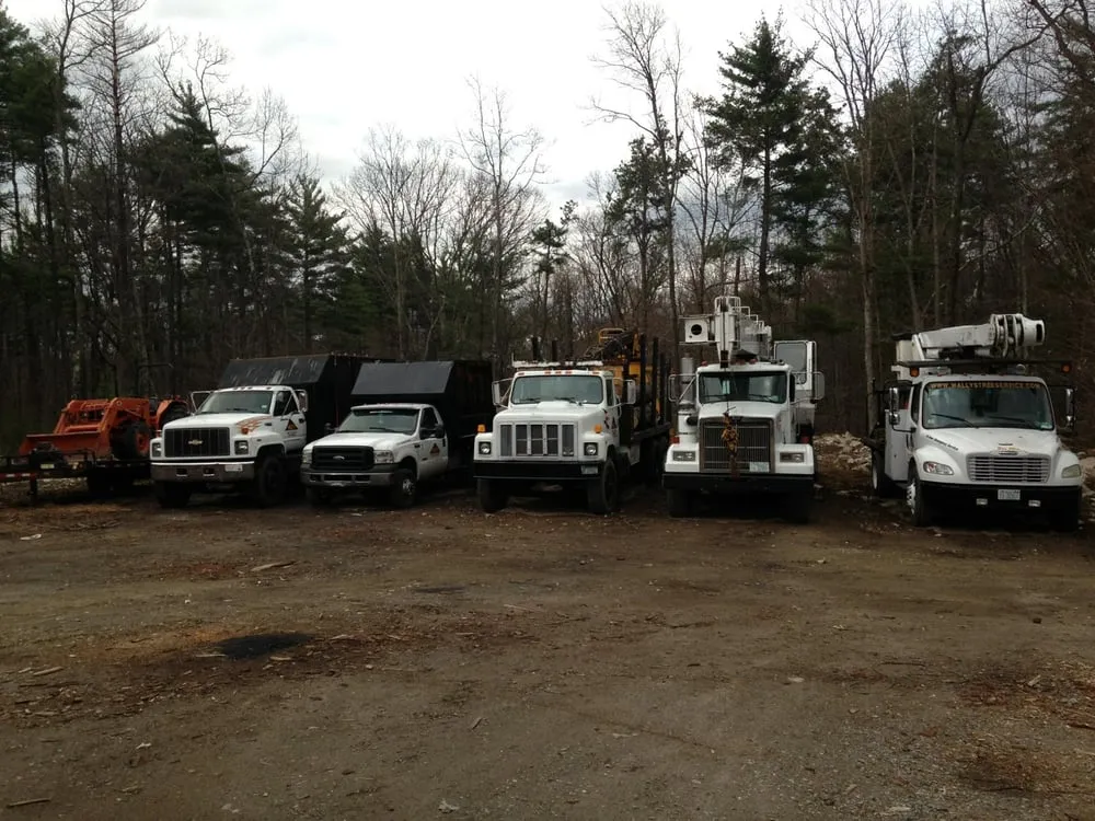 Top-rated residential landscaping for residential properties in Greenville, NH by Wally's Tree and Crane Service