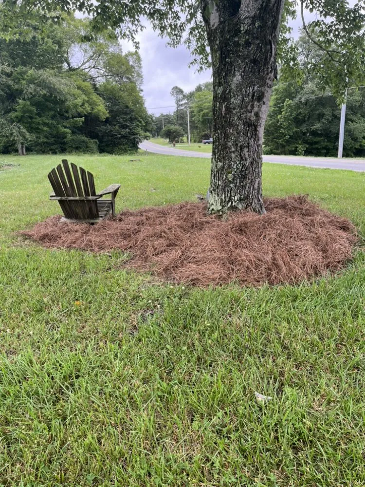 Top-rated outdoor landscaping experts serving Lewisville, NC - Wally’s Weed Whacking