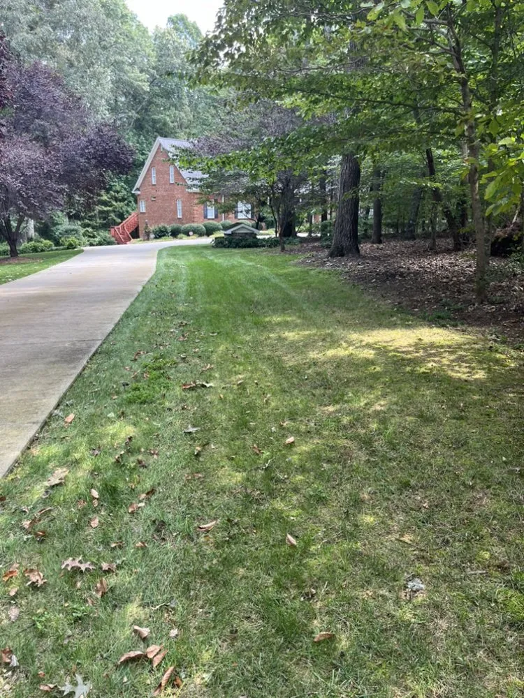 Local garden landscaping in Lewisville, NC - Wally’s Weed Whacking