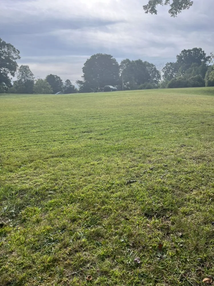 Reliable landscape design with custom design in Lewisville, NC by Wally’s Weed Whacking