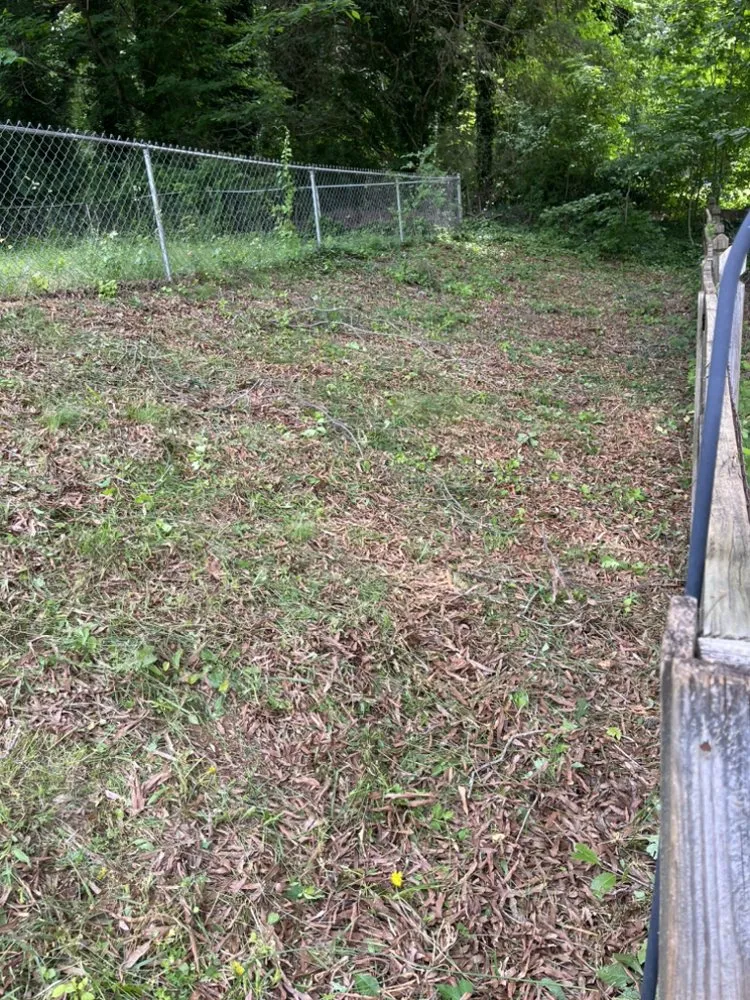 Local landscape design in Lewisville, NC - Wally’s Weed Whacking