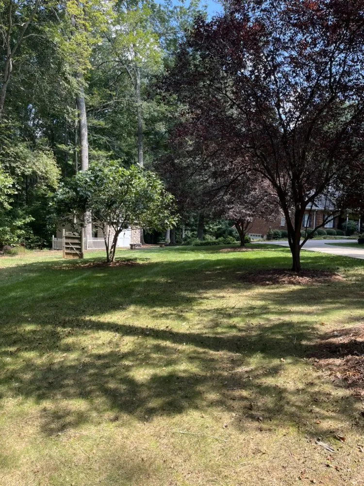 Professional yard cleanup service in Lewisville, NC - Wally’s Weed Whacking