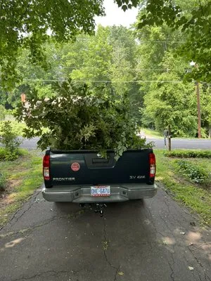 Wally’s Weed Whacking Logo