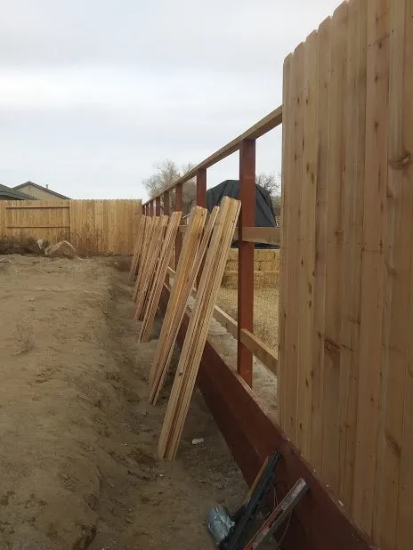 Top-rated lawn mowing service in Sparks, NV by Walmsley Landscapes