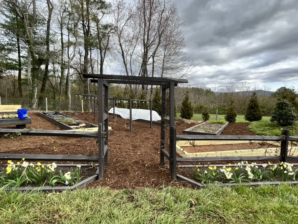 Local yard maintenance for beautiful yards in East Flat Rock, NC by Walnut Cove