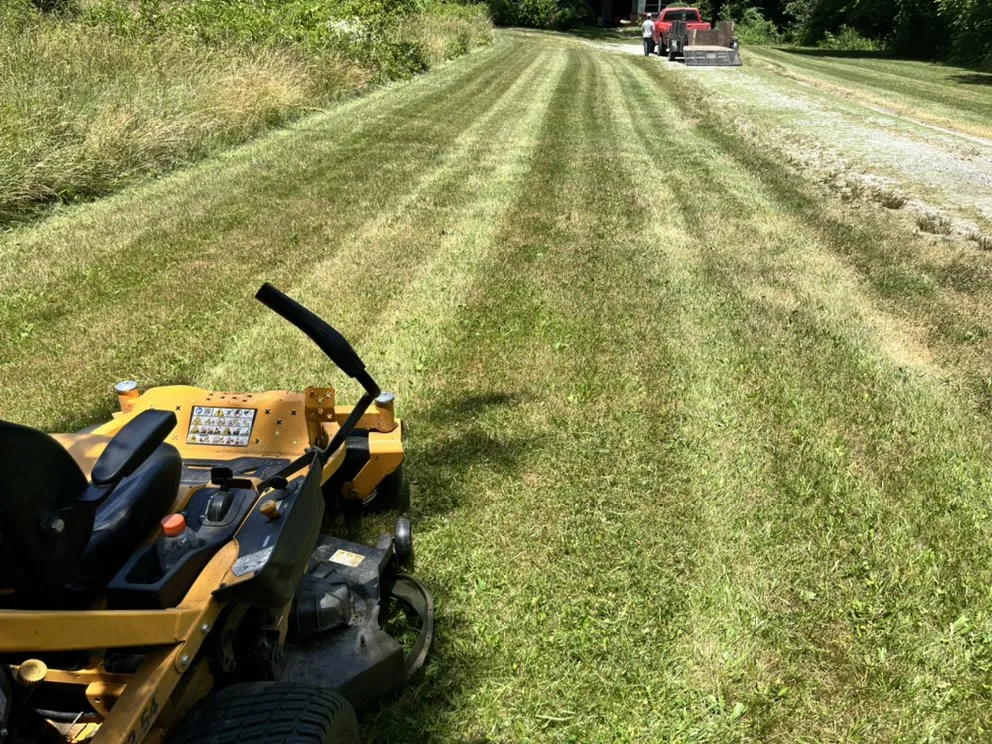 Affordable yard cleanup service in East Flat Rock, NC by Walnut Cove