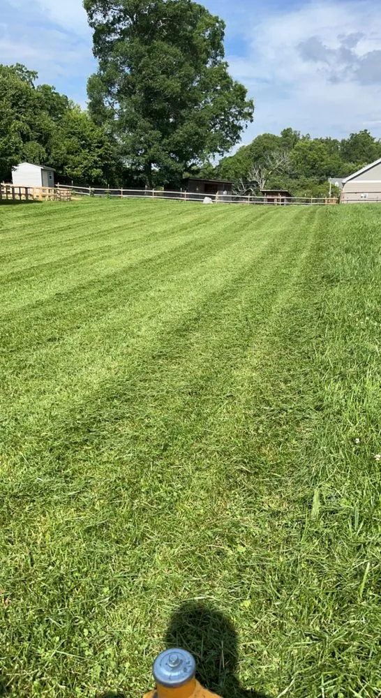 Professional yard maintenance for beautiful yards across East Flat Rock, NC - Walnut Cove