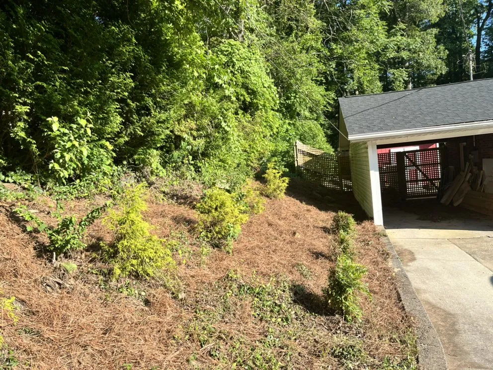 Top-rated lawn mowing service in East Flat Rock, NC - Walnut Cove