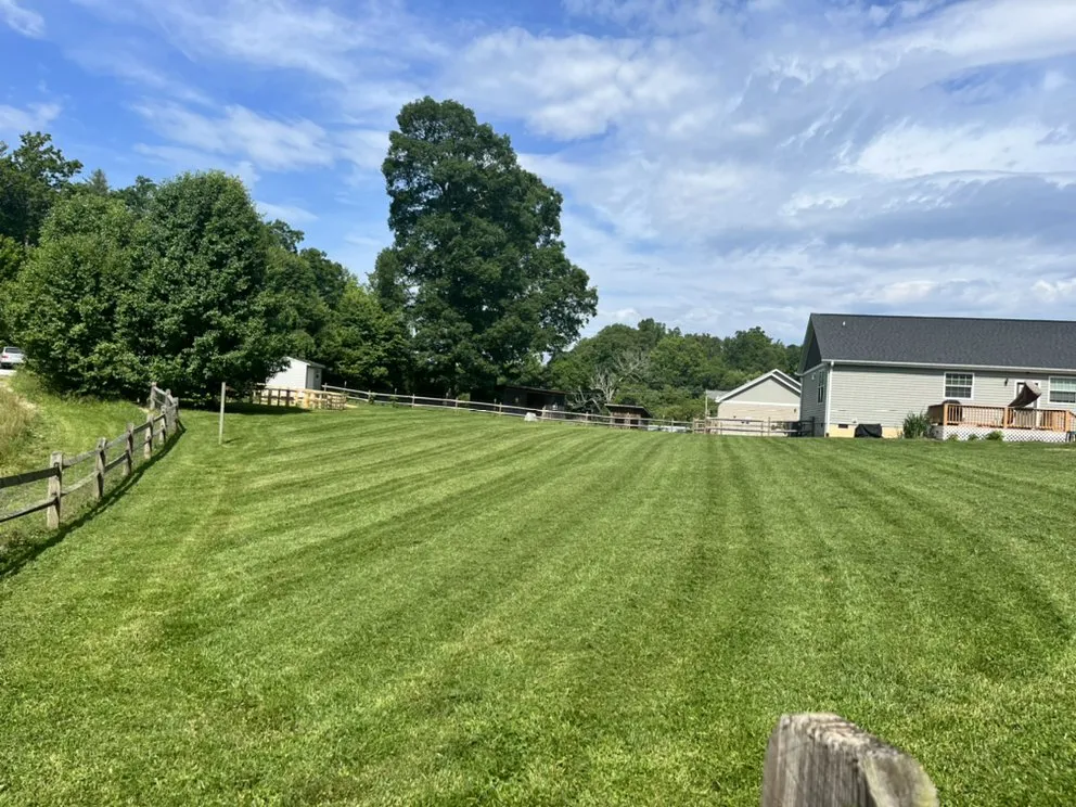 Expert landscaping services experts serving East Flat Rock, NC - Walnut Cove