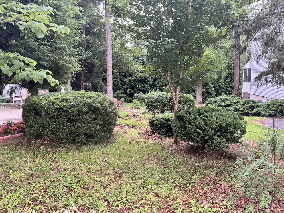 Expert landscaping services experts serving East Flat Rock, NC - Walnut Cove