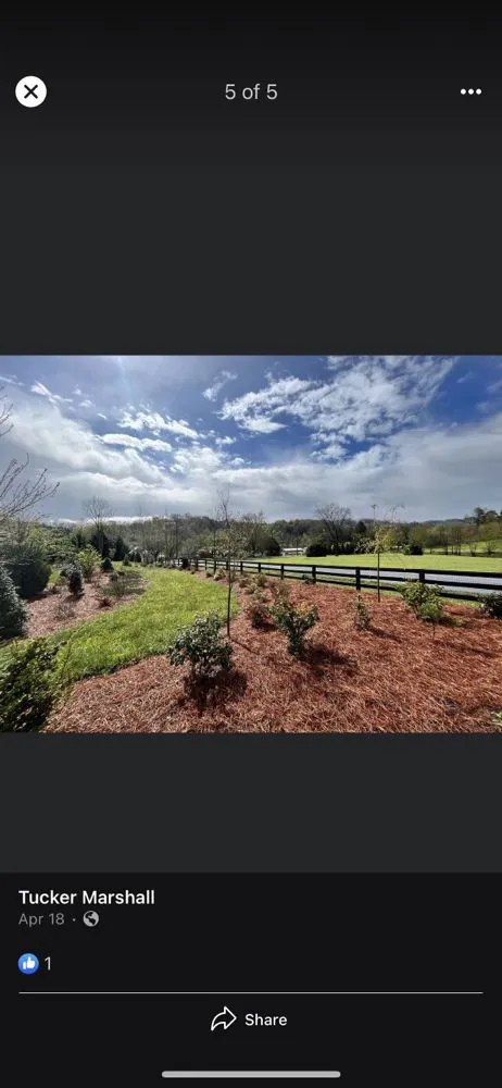 Custom outdoor landscaping in East Flat Rock, NC by Walnut Cove
