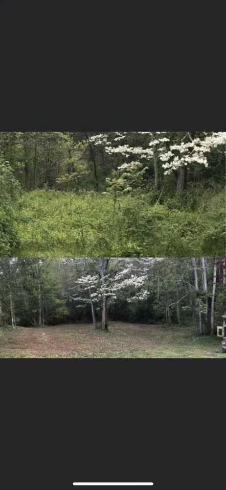 Custom outdoor landscaping in East Flat Rock, NC by Walnut Cove