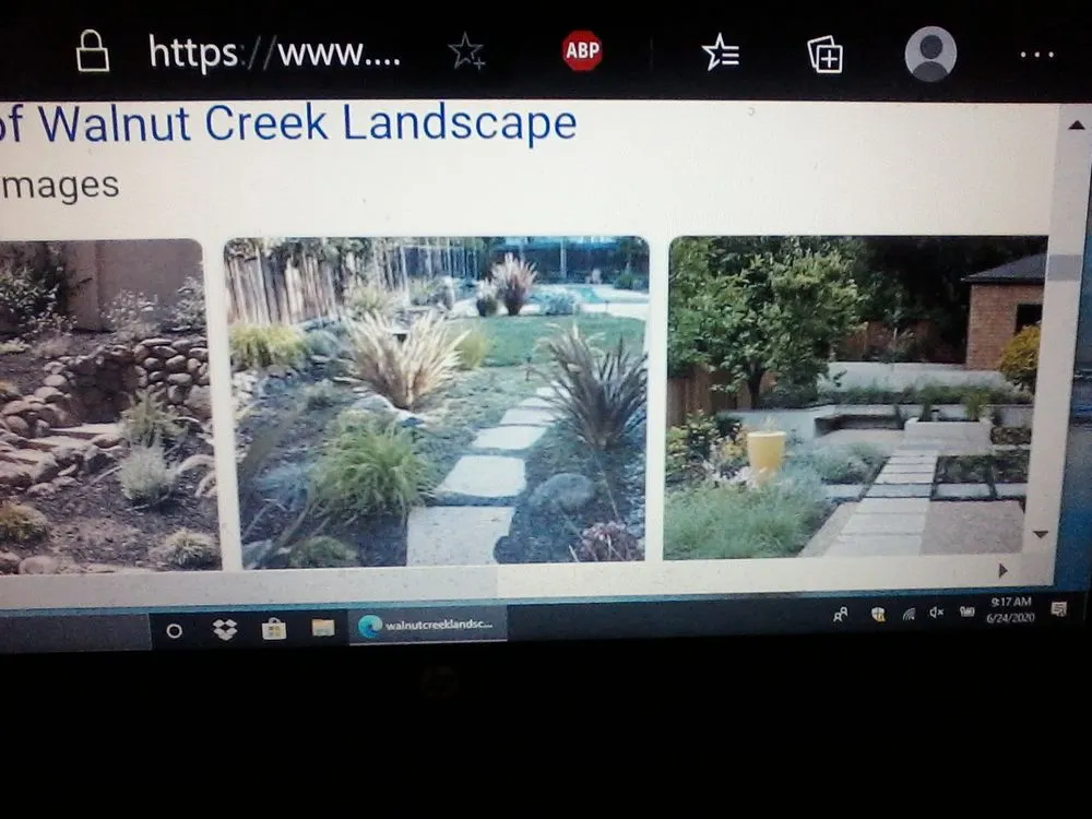 Expert landscaping services experts serving Walnut Creek, CA - Walnut Creek Landscape