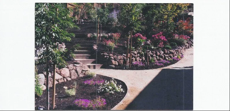 Custom landscape design in Walnut Creek, CA - Walnut Creek Landscape