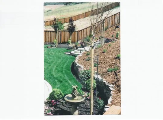 Walnut Creek Landscape Logo