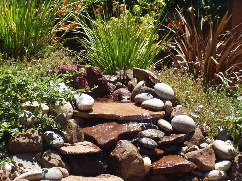 Top-rated outdoor landscaping in Concord, CA by Walnut Creek Landscaping