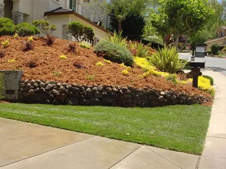 Custom outdoor landscaping with custom design in Concord, CA by Walnut Creek Landscaping