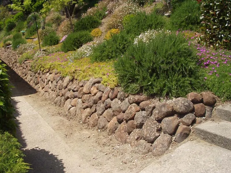 Trusted landscape installation experts serving Concord, CA - Walnut Creek Landscaping