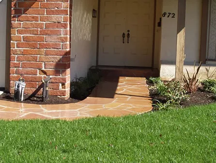 Top-rated yard cleanup service experts serving Concord, CA - Walnut Creek Landscaping