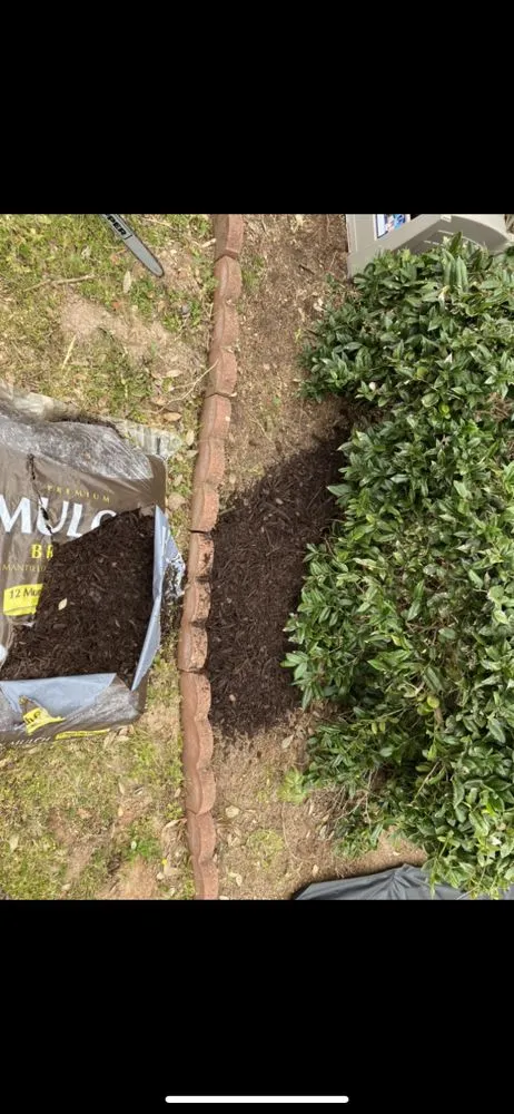 Affordable residential landscaping experts serving North Augusta, SC - Walnut Trimmers