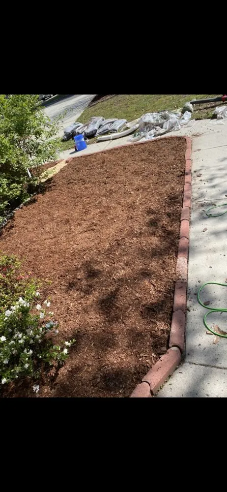 Top-rated yard cleanup service for year-round maintenance in North Augusta, SC by Walnut Trimmers