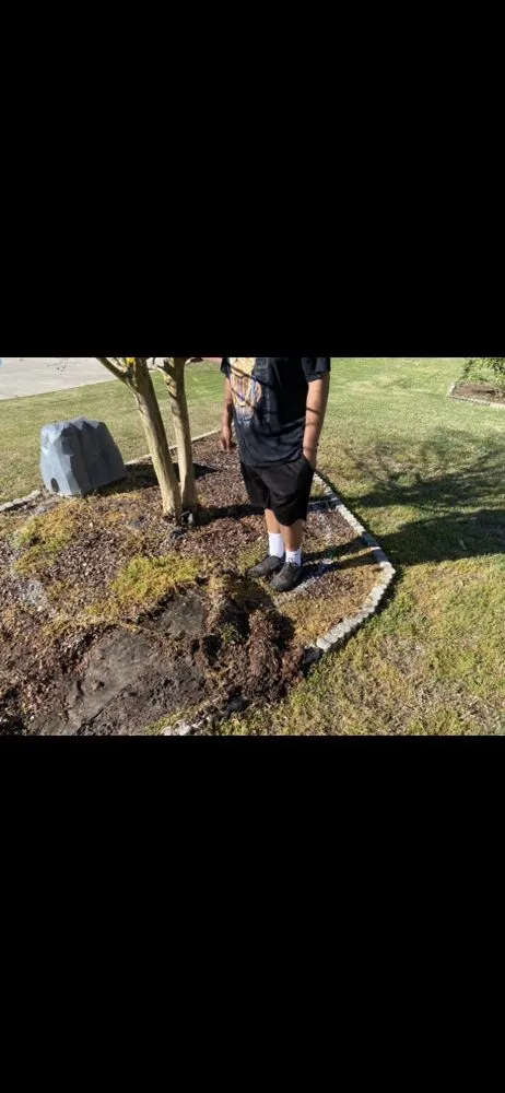 Expert yard cleanup service in North Augusta, SC - Walnut Trimmers