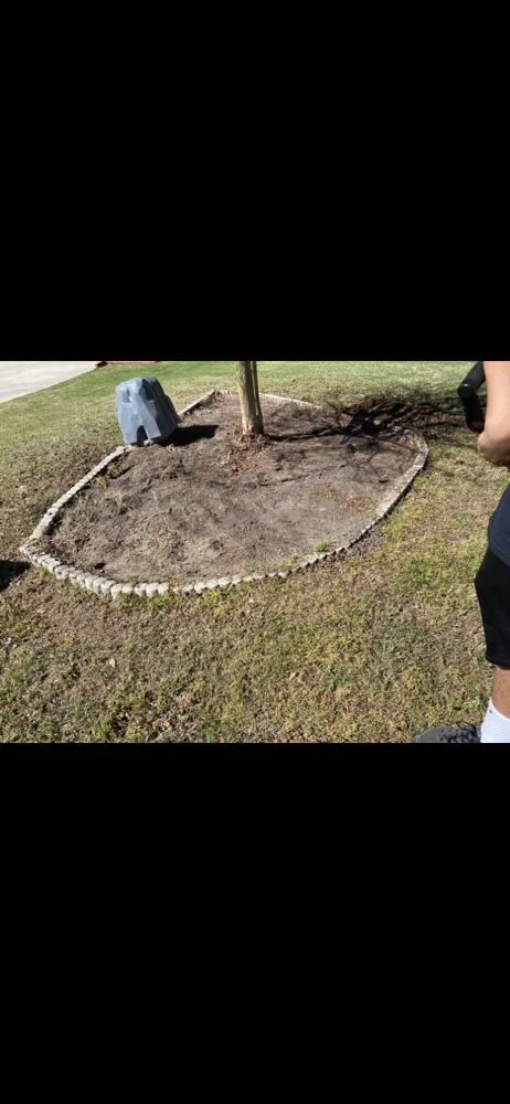 Trusted lawn care service in North Augusta, SC by Walnut Trimmers