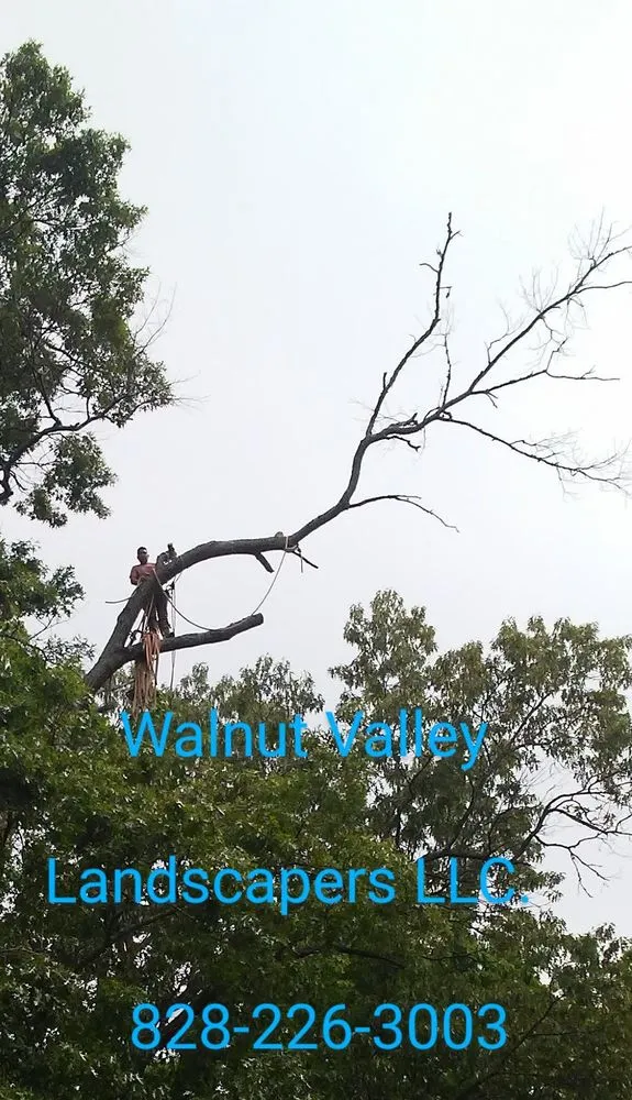 Affordable yard maintenance near you across Glenville, NC - Walnut Valley Landscapers