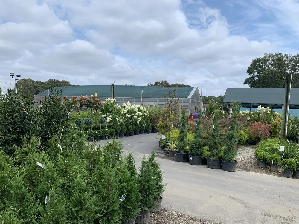 Expert garden landscaping in East Moriches, NY by Walpole Outdoors at Bay Gardens