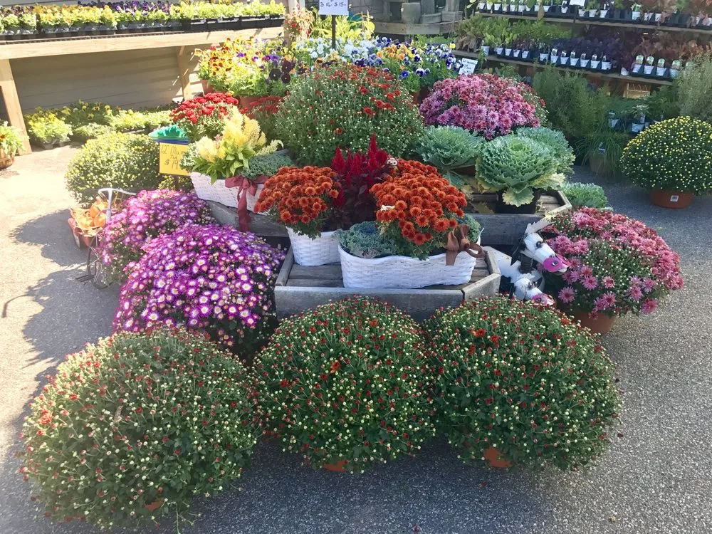 Custom residential landscaping in East Moriches, NY by Walpole Outdoors at Bay Gardens