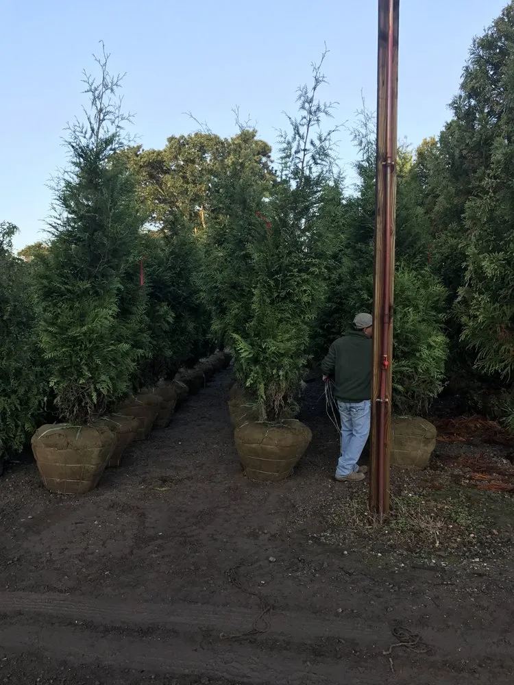 Local yard maintenance for residential properties across East Moriches, NY - Walpole Outdoors at Bay Gardens