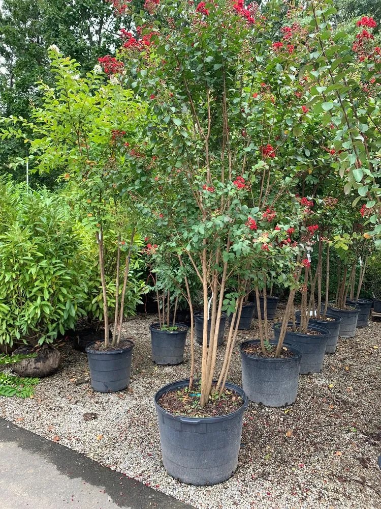 Custom landscape design for beautiful yards across East Moriches, NY - Walpole Outdoors at Bay Gardens