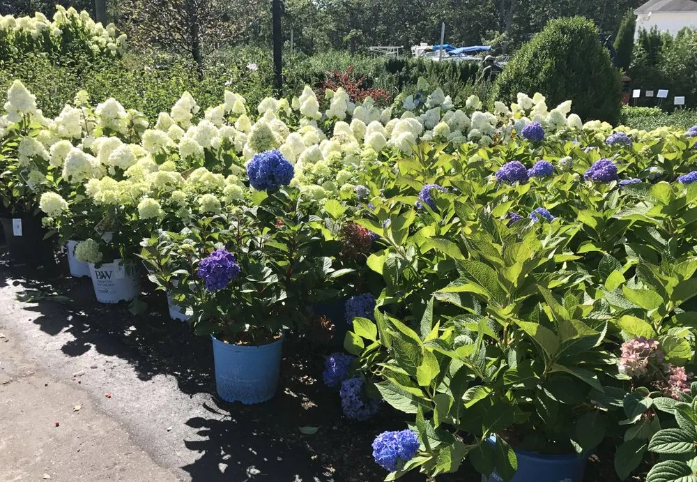 Affordable outdoor landscaping in East Moriches, NY - Walpole Outdoors at Bay Gardens